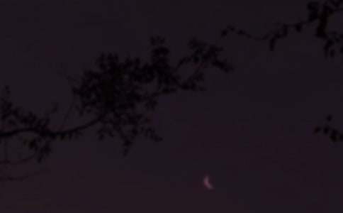 Ψ��������΢���ʺ���46��