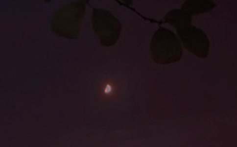 2025年经典治愈系晚安微信问候语44条