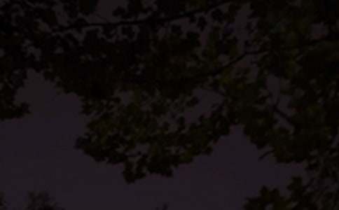 ʵ�õ�Ψ���������ʺ�����źϼ�71��