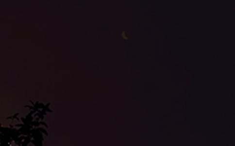 ����������΢���ʺ���85��