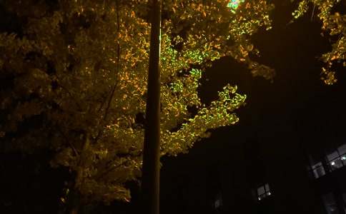 ������ܰ�������ʺ�����¼29��