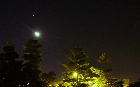 ��������Ȧ�ʺ���