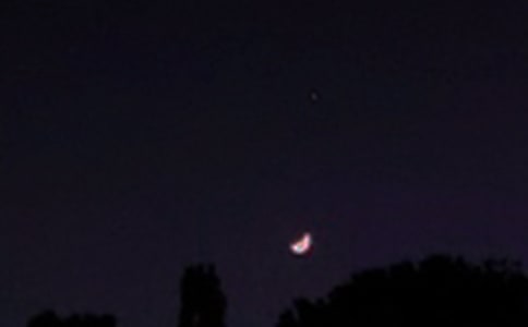 �����š�2021����������������¼����90��