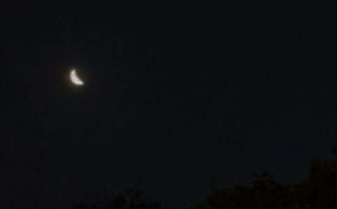 2025�����õ�����QQ�ʺ���48��