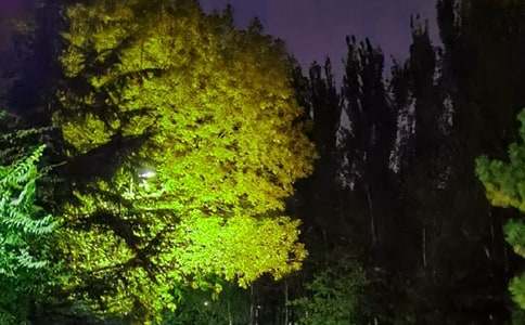 ��ů������QQ�ʺ���ժ¼79��