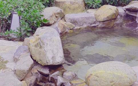 温泉旅游广告语