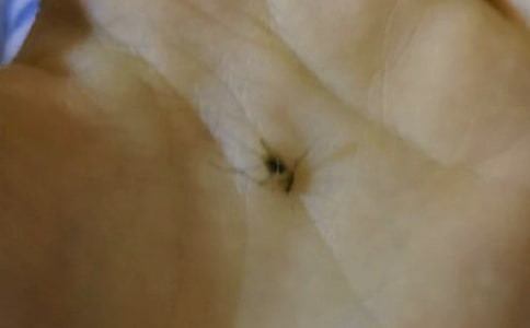 �������Ӷ��Ƕ�������