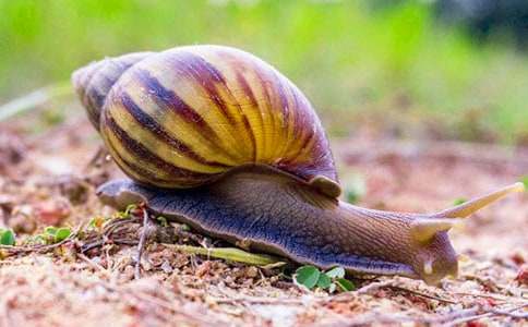 �ܵÿ��С��ţ����