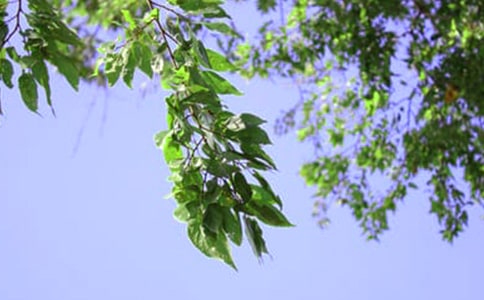 ������־�簲��¼��ȫ��ͨ��90�䣩