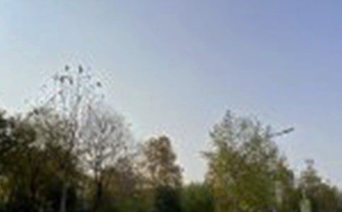 Ψ�����簲������ţ���ѡ100�䣩