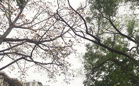 �簲�ʺ���ժ¼62��