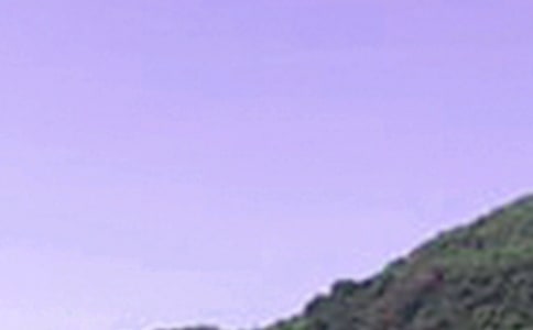 午安正能量句子