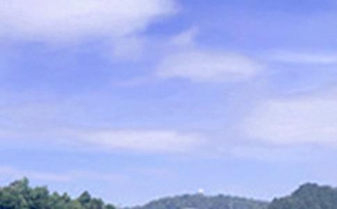 �����簲ף������ܣ���ѡ100�䣩