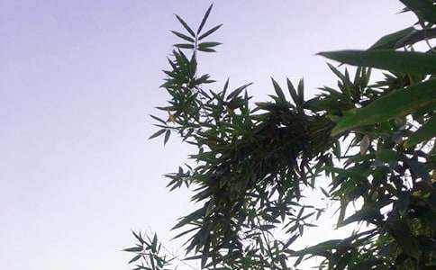 �������簲���ţ���ѡ30�䣩