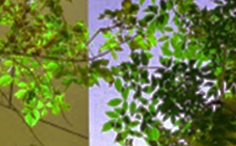 ��ѡ���������簲��¼39��