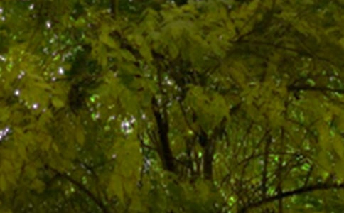 2021�꾫ѡ���������簲��¼����58��