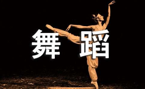 �赸���Ź����ƻ���ʵ��13ƪ��