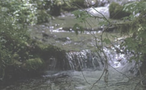 �泯Ϫ����ů��������