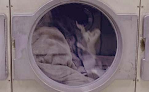 洗衣店广告语4篇