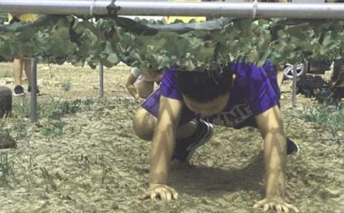 ��������ӪУ԰����������������ղ�