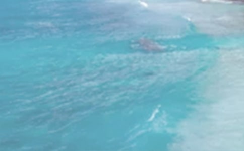 ��������600��[����]