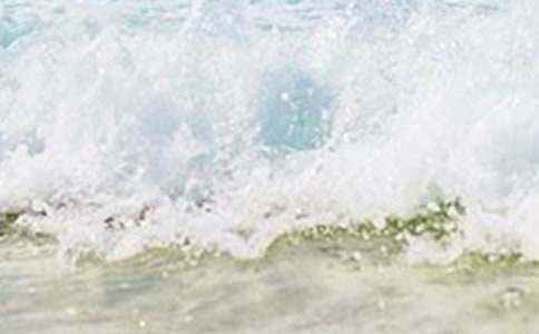 夏天的雨作文300字4篇