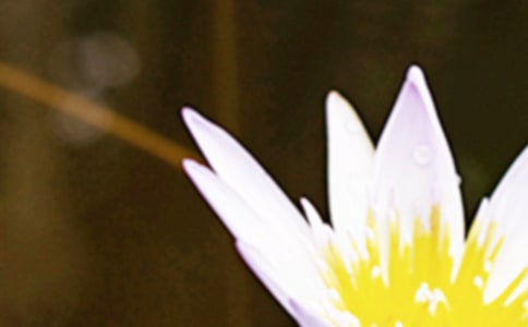 �������黰