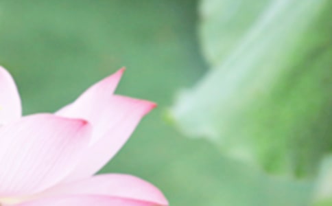 ���������̾�