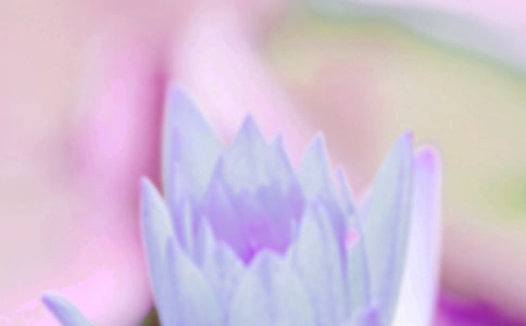 ������Ԣ���������ʲô