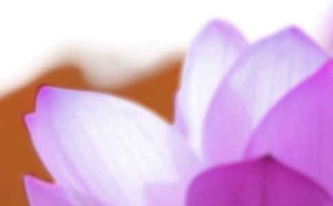 ����Ψ���İ�