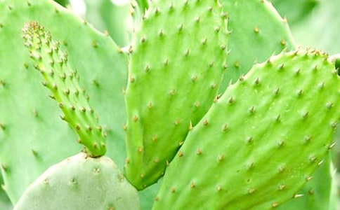 �ҵ�����������