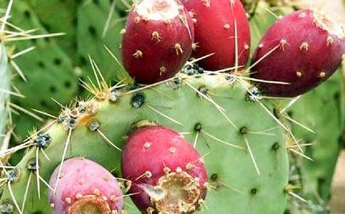 ��д�����Ƶ�����15ƪ