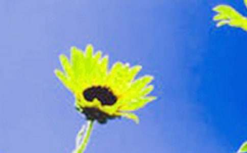 ��д���տ�����