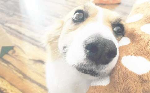 �й�С������500�ֻ��5ƪ