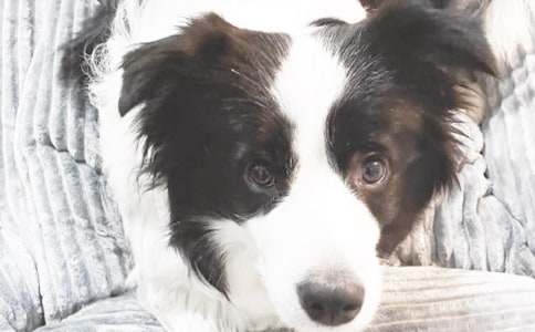 �й��Ҽ�С������500�ֻ��ʮƪ