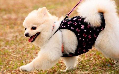 С������500�ּ���9ƪ