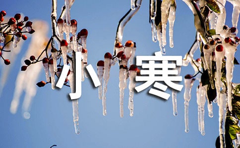 ����С������