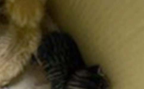 ����Сè����500�ֺϼ�8ƪ