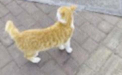 �ҵ�Сè��������6ƪ