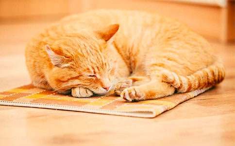 СѧСè����