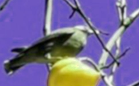 ����С��ľ���