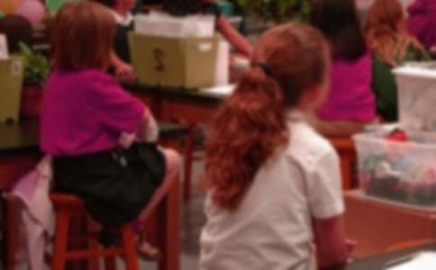 Сѧ����������