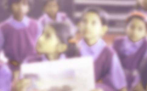 ��ů������Сѧ����������