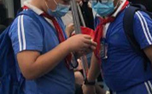 ����ѡ��Сѧ���ܼ�ģ�����5ƪ