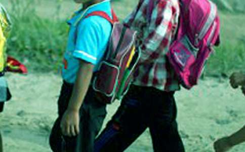 2022Сѧ����ĩ�����ܽ᷶�ģ���ѡ12ƪ��