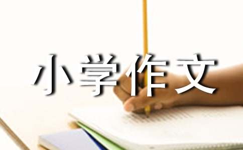 点评小学作文400字3篇