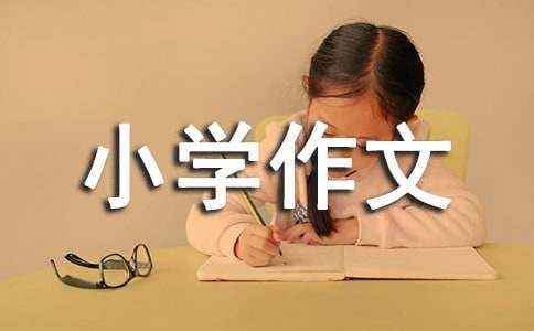 精选珍惜小学作文300字三篇