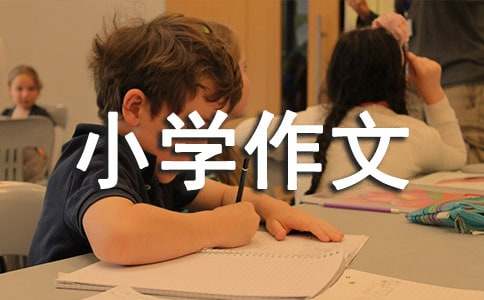 诗的世界小学作文