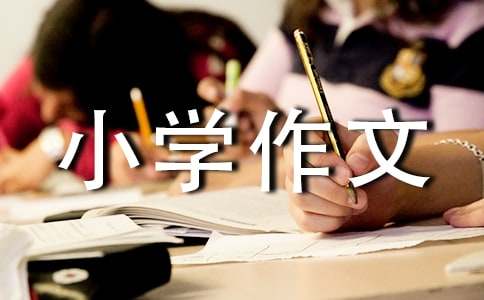 暑假小学作文15篇