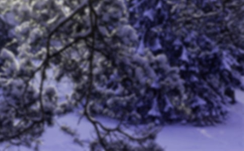 ��ʮ�Ľ���Сѩ֪ʶ